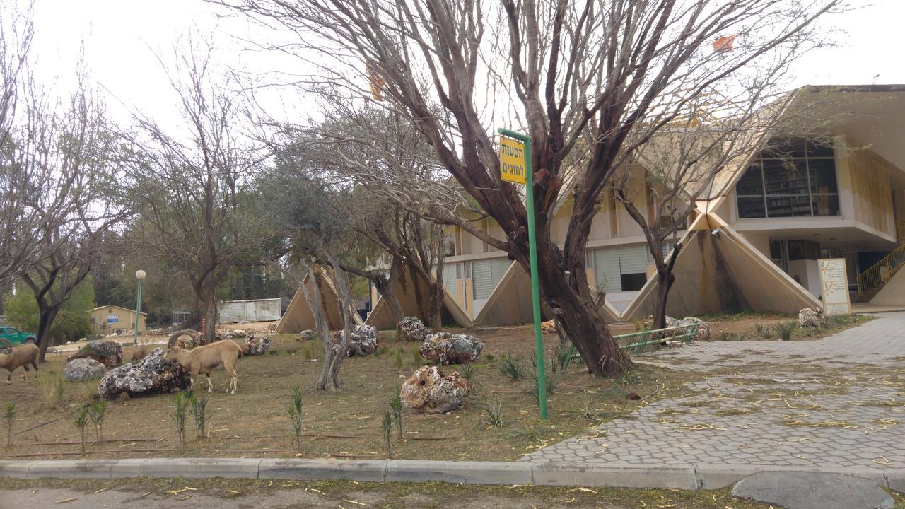 Margo Zimmer Midreshet Ben Gurion Exterior foto